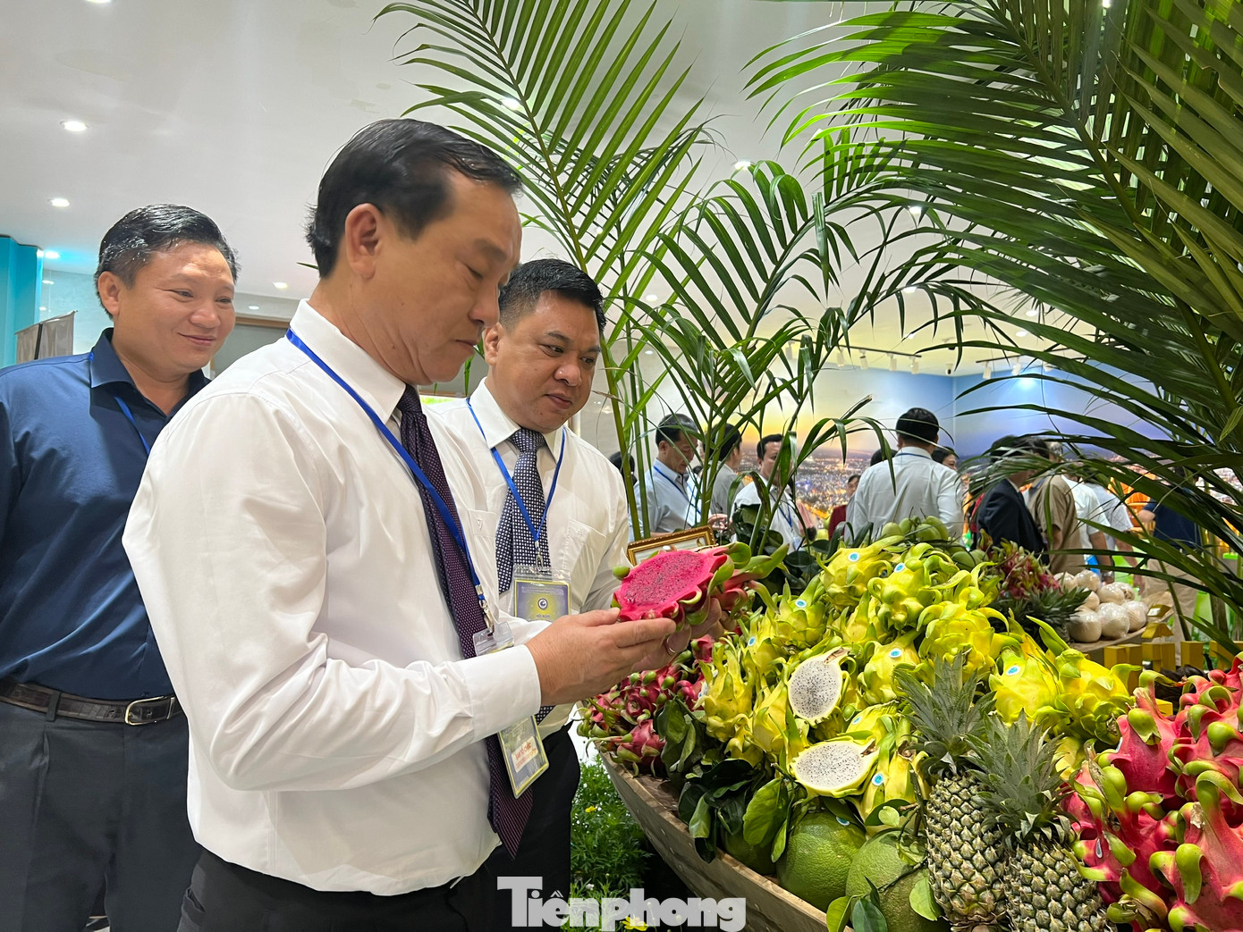 Thanh long ruột đỏ, thanh long vỏ vàng của tỉnh Tiền Giang giới thiệu tại TPHCM.