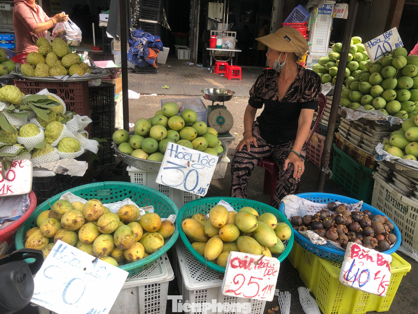 Theo dự kiến từ các tiểu thương, vụ thu hoạch xoài sẽ kéo dài khoảng hơn 1 tháng nữa, sau đó có thể giá tăng trở lại.