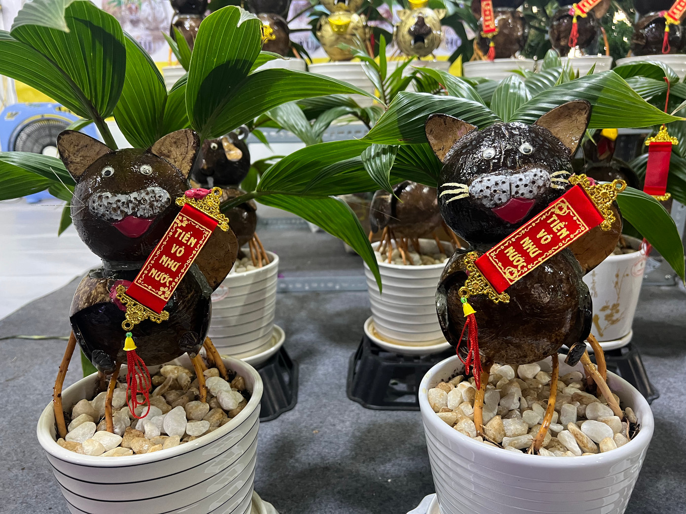 Những ngày qua, nhiều khách hàng từ các nơi liên hệ với anh Đậu Thanh Tùng (ngụ huyện Bình Chánh, TPHCM) đặt mua mèo tài lộc làm từ bon sai dừa về chơi Tết. Các chú mèo được tạo hình bằng tay nên không con nào giống nhau, có giá từ 500.000 - 2 triệu đồng/sản phẩm tùy độ lớn nhỏ.