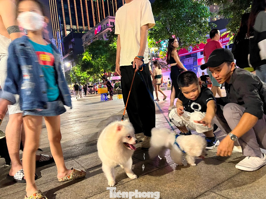 Trẻ em tò mò thích thú chạm vào những con chó.