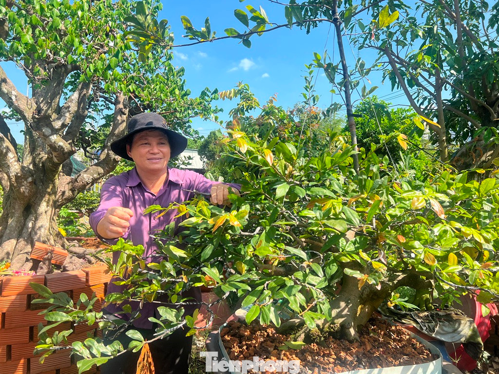 Từ tỉnh Bến Tre đến phường Bình Hưng Hòa B, (quận Bình Tân, TPHCM) thuê đất trồng rau màu, cây kiểng hơn chục năm qua, ông Nguyễn Văn Hiền (58 tuổi) cho biết dù là đất đang quy hoạch nhưng nếu biết tận dụng cũng có thể kiếm tiền. Như ông vốn sẵn có nghề trồng cây kiểng, mỗi năm bán cây kiểng ông và gia đình thu nhập từ 200-300 triệu đồng.