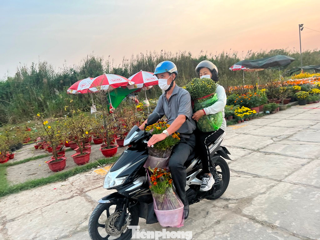 Mỗi chậu hoa chỉ tầm 50.000 đồng, khách mua nhiều để trang trí nhà cửa đón Tết.