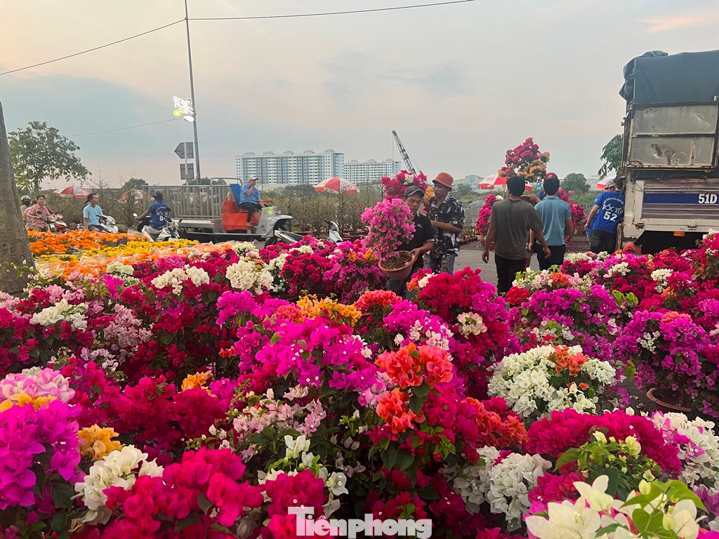 Nhà vườn từ TPHCM, Đồng Tháp, Bến Tre... tấp nập chở hoa xuống chợ.