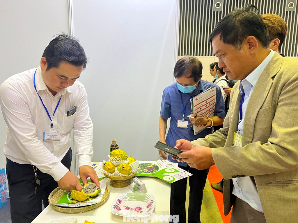 Khách chờ thưởng thức thử món thanh long &quot;đắt xắt ra miếng&quot;.