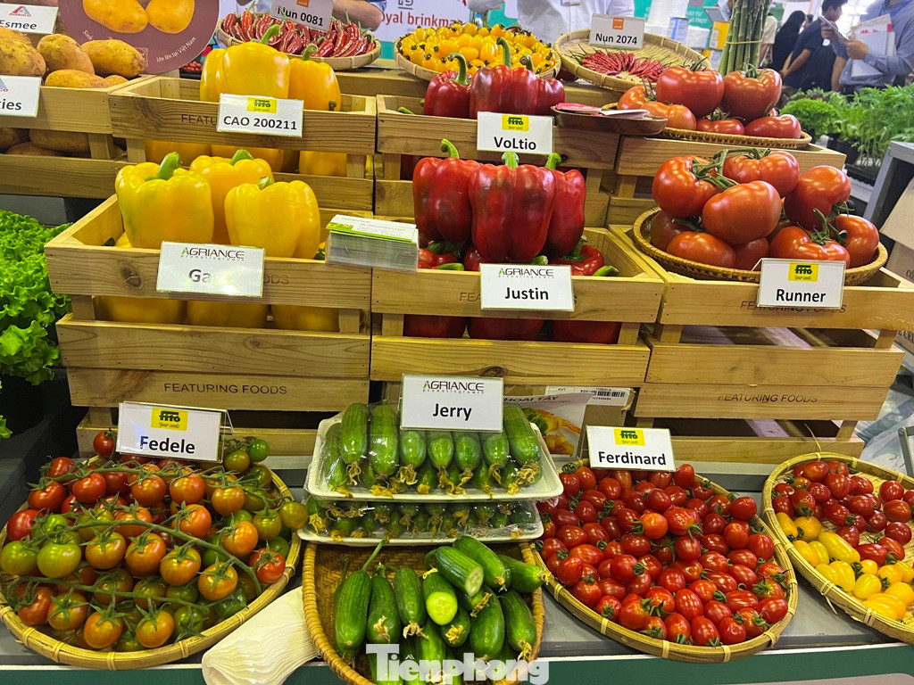 Nông sản của doanh nghiệp trong và ngoài nước.