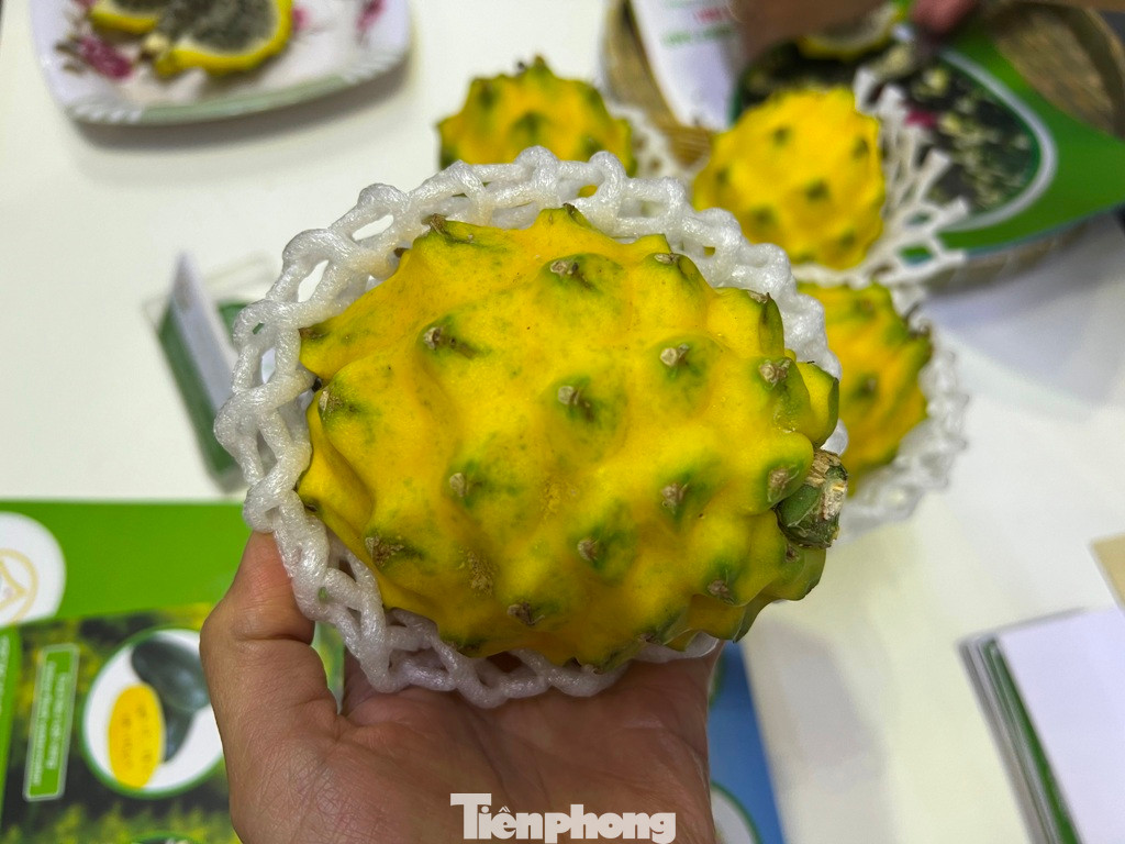 Quả thanh long vỏ vàng to bằng nắm tay nhưng có giá tới 300.000 đồng/kg