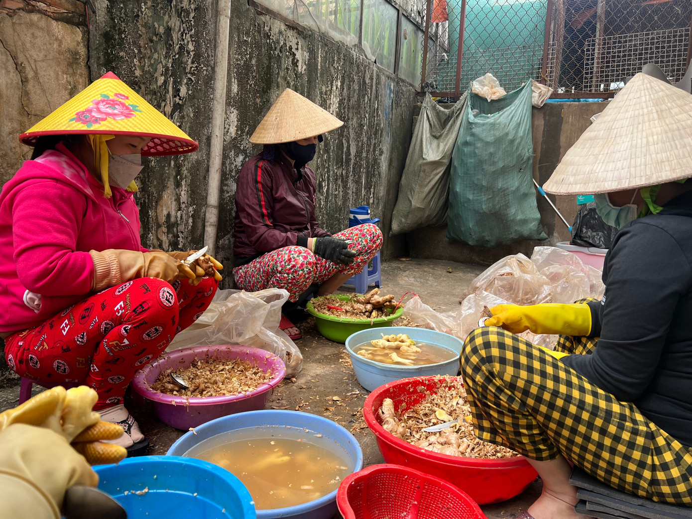 Công nhân Công ty giày Tỷ Hùng thất nghiệp, mưu sinh bằng nghề gọt củ gừng (ảnh: U.P) Công nhân Công ty giày Tỷ Hùng thất nghiệp, mưu sinh bằng nghề gọt củ gừng (ảnh: U.P)