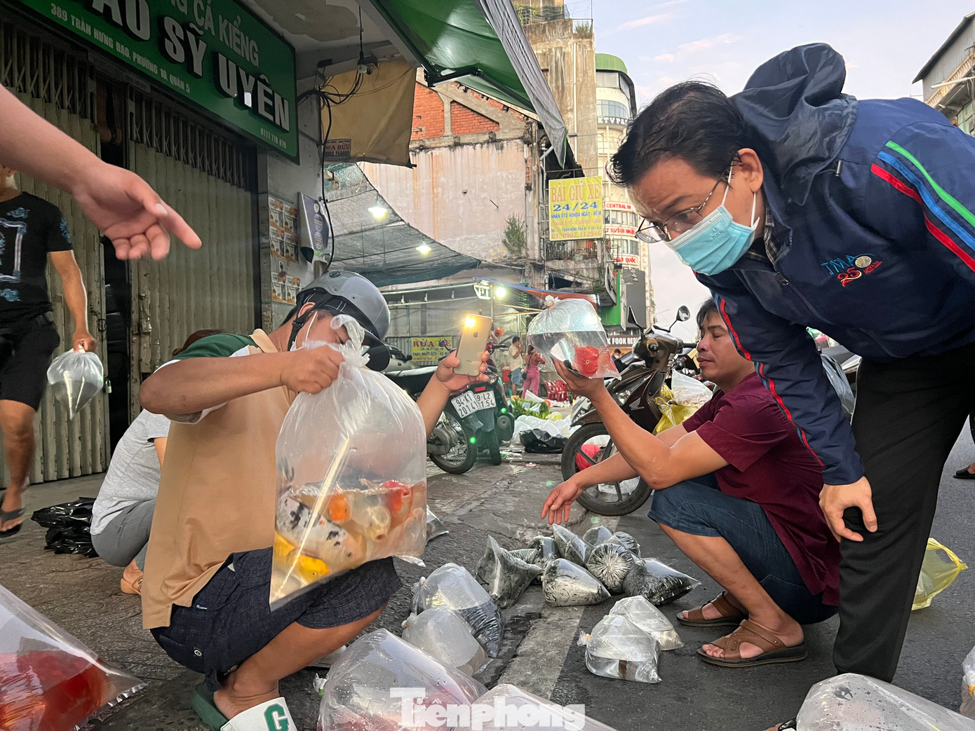 Cá Koi cũng được cho vào bọc, khách rọi điện thoại kiểm tra hàng Cá Koi cũng được cho vào bọc, khách rọi điện thoại kiểm tra hàng