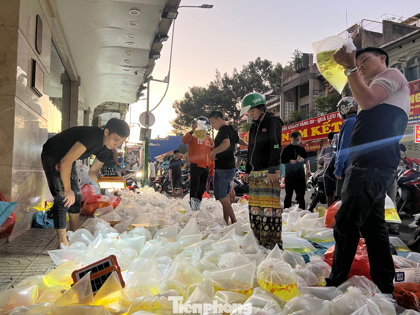 Chợ cá cảnh Lưu Xuân Tín đã có từ vài chục năm trước, trở thành nơi giao thương quen thuộc của dân chơi và kinh doanh cá cảnh. Chợ cá cảnh Lưu Xuân Tín đã có từ vài chục năm trước, trở thành nơi giao thương quen thuộc của dân chơi và kinh doanh cá cảnh.