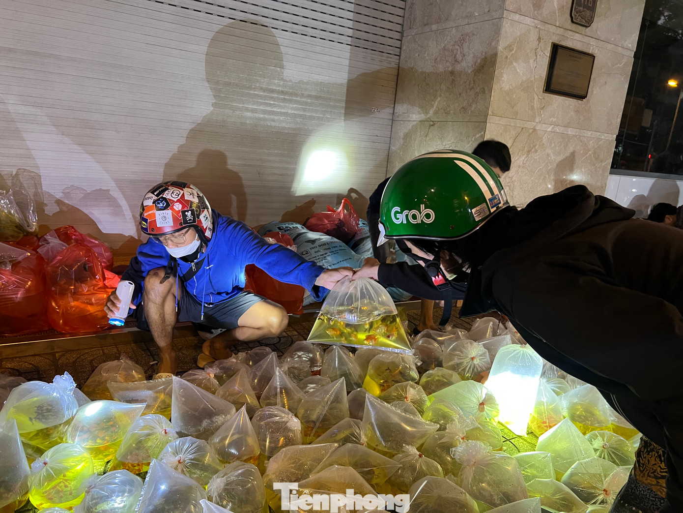 Muốn mua cá, khách quỳ mọp trên vỉa hè, rọi đèn săm soi từng bọc cá để lựa chọn. Muốn mua cá, khách quỳ mọp trên vỉa hè, rọi đèn săm soi từng bọc cá để lựa chọn.