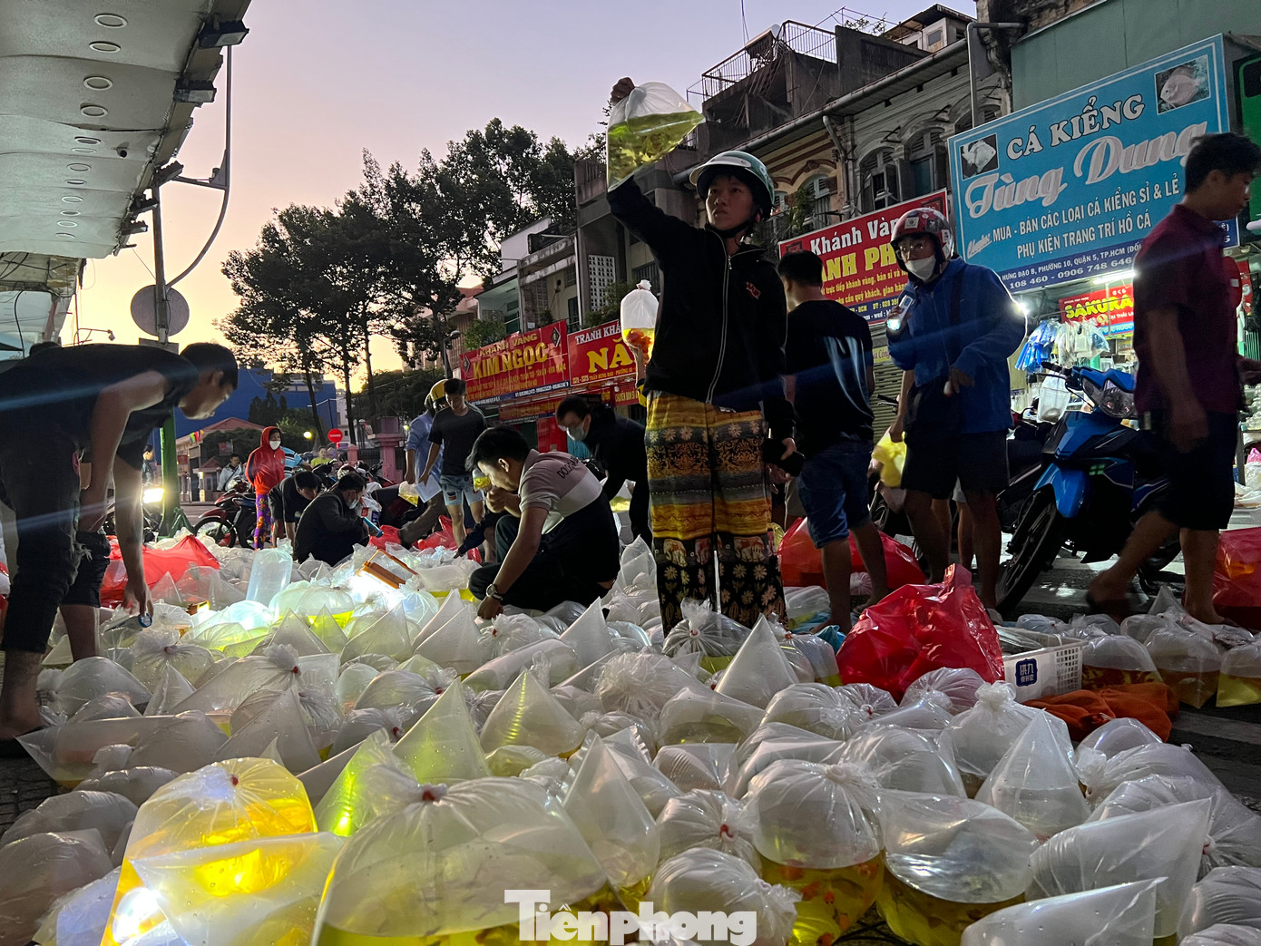 Nhiều người từ các huyện Củ Chi, Hóc Môn, quận 8 (TPHCM), Long An, Bình Dương... cũng đến đây mua bán Nhiều người từ các huyện Củ Chi, Hóc Môn, quận 8 (TPHCM), Long An, Bình Dương... cũng đến đây mua bán