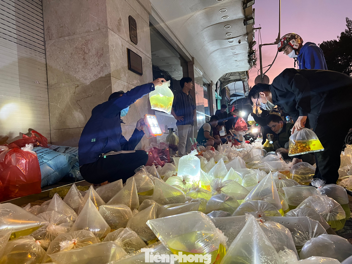Khách hàng đa số là nam giới đam mê thú chơi cá kiểng hoặc đến đây mua rồi về bán lại. Khách hàng đa số là nam giới đam mê thú chơi cá kiểng hoặc đến đây mua rồi về bán lại.