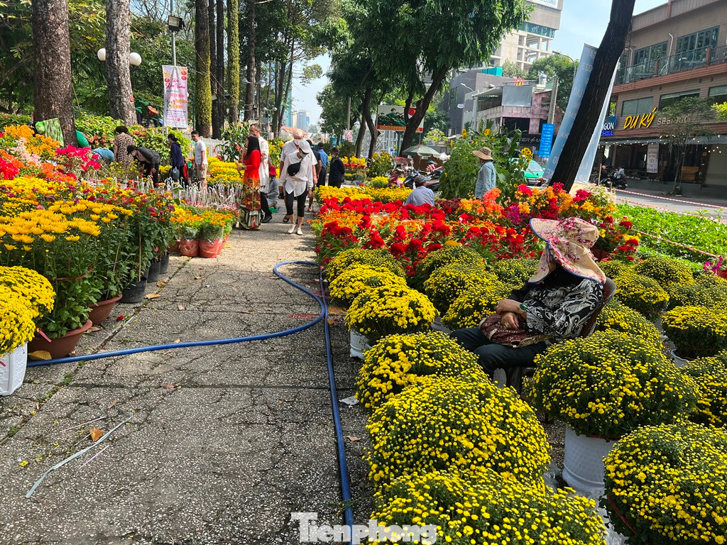 Tiểu thương đội nắng ngồi buồn thiu trông ngóng khách mua hoa ngày 29 Tết.