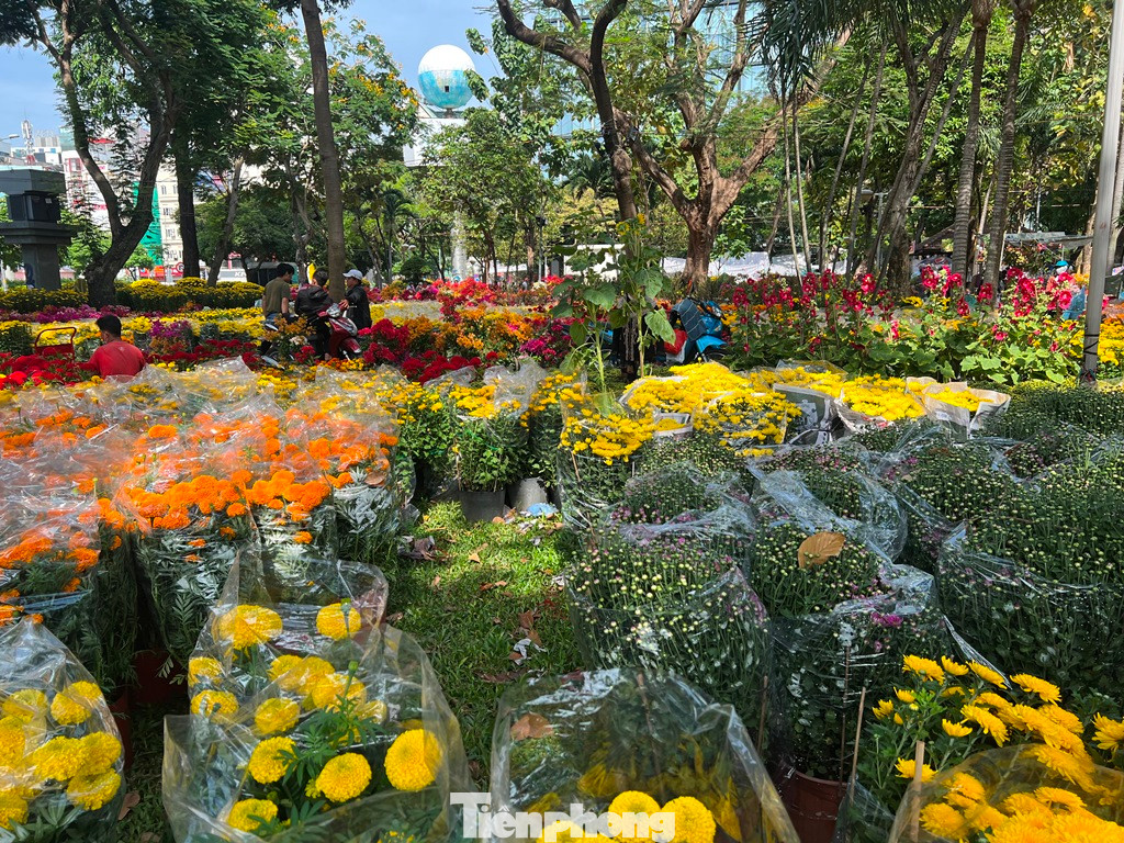 Người bán còn nhiều hơn người mua