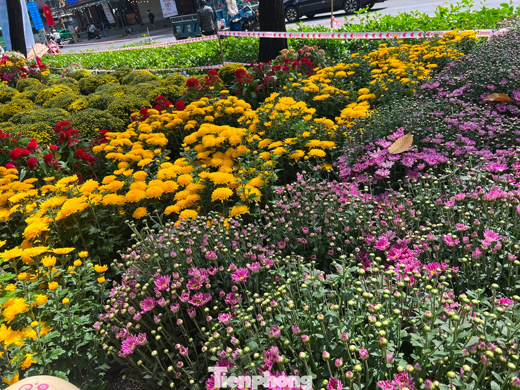 Các tiểu thương chủ động giảm giá sớm, khoảng 150.000 đồng/cặp cúc nhưng vẫn không bán được nhiều hàng.