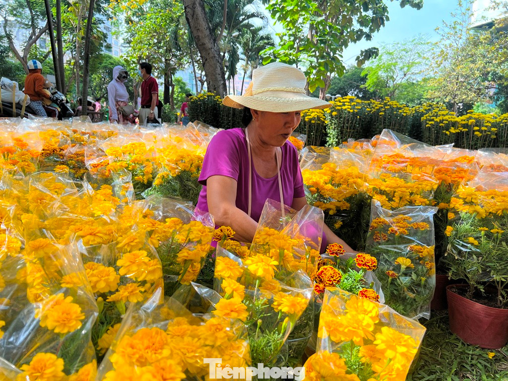 Đưa lên TPHCM 1.000 chậu hoa Tết nhưng cô Xuân (Bến Tre) bán chưa được bao nhiêu.