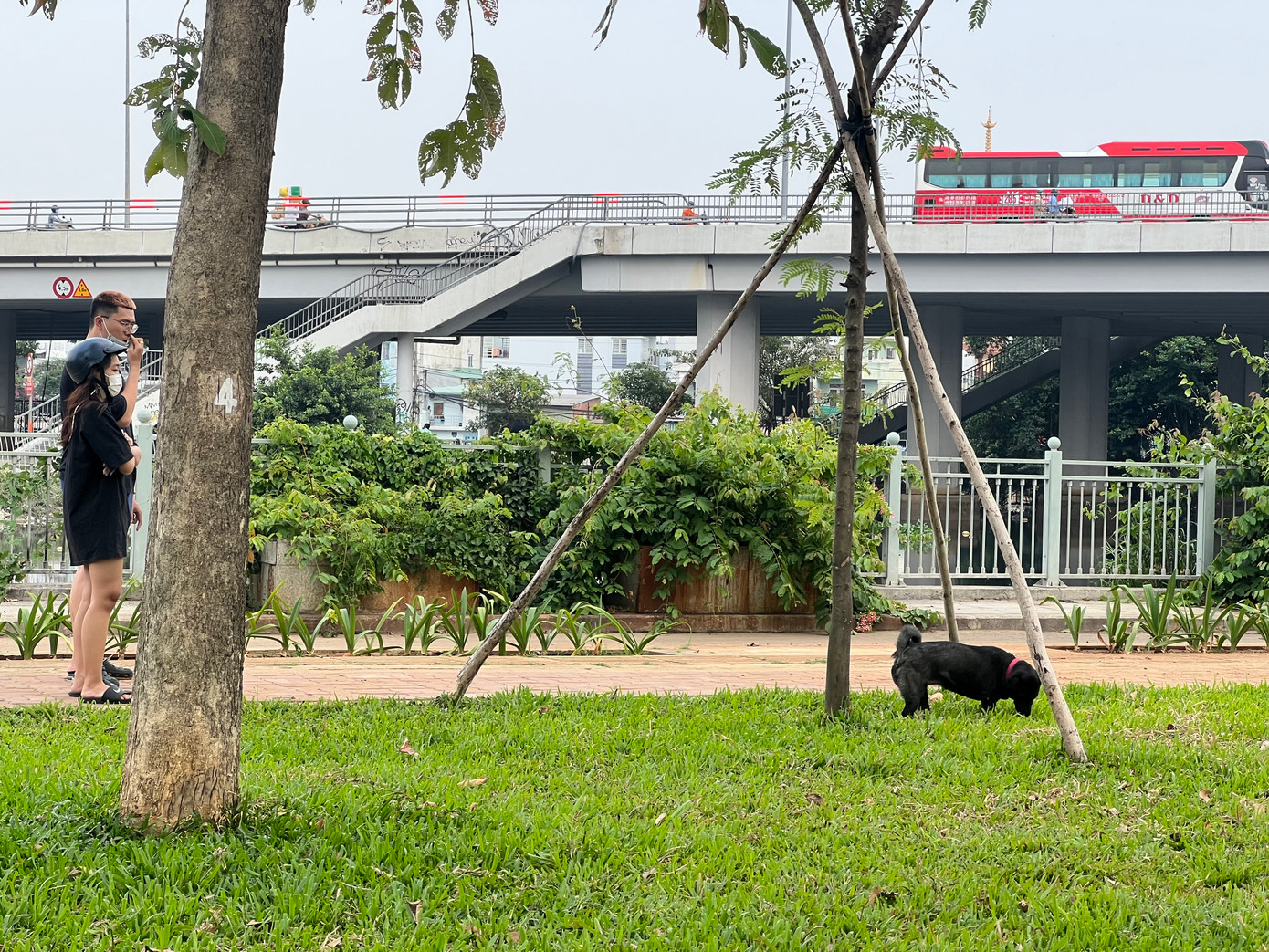 Trong vòng 30 phút, tại công viên Lò Gốm (đường Nguyễn Văn Luông, phường 10, quận 6), PV ghi nhận có hơn 10 người chở chó trên xe máy đến đây đi vệ sinh. "Tôi thường đến đây tập thể dục và luôn phải chịu đựng mùi hôi thối từ chất thải của chó. Tôi cũng vài lần nhắc nhở người đưa chó đến giữ vệ sinh chung nhưng họ chỉ trả lời vài ba câu rồi chở chó đến nơi khác, có lần người chủ chó còn đòi đánh tôi vì… nhiều chuyện” – bà B (55 tuổi) cho hay.
