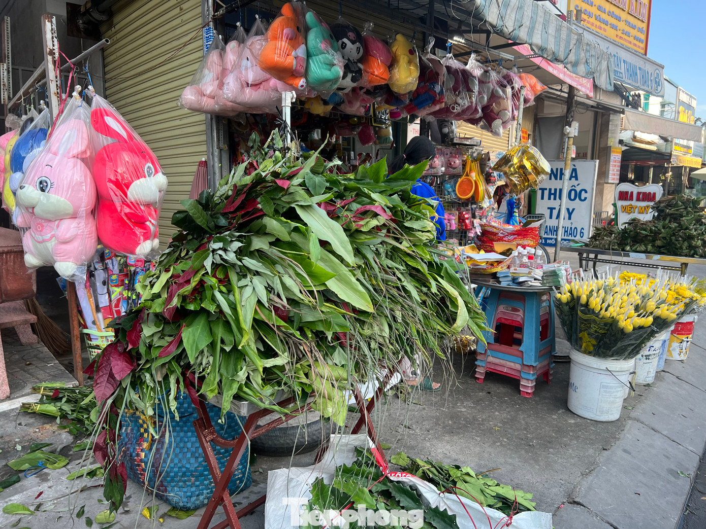 Lá xông gồm xương rồng và các loại lá thơm như liễu, khuynh diệp, ngũ trảo... (có thể dùng để nấu nước xông hơi, giải cảm) vẫn được bán theo giá những năm trước, trung bình từ 10.000-15.000 đồng/bó, tùy lớn nhỏ được bày bán nhiều nhất trong ngày này.