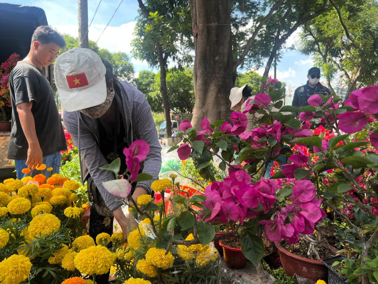 Hoa vạn thọ, hoa giấy... có giá cả trăm nghìn đồng/chậu nhưng tiểu thương không giảm giá. Tới giờ trả mặt bằng, họ quyết định tự cắt hoa để lấy chậu mang về.