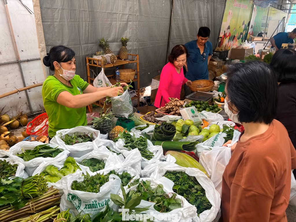Rau trái tươi ngon Rau trái tươi ngon