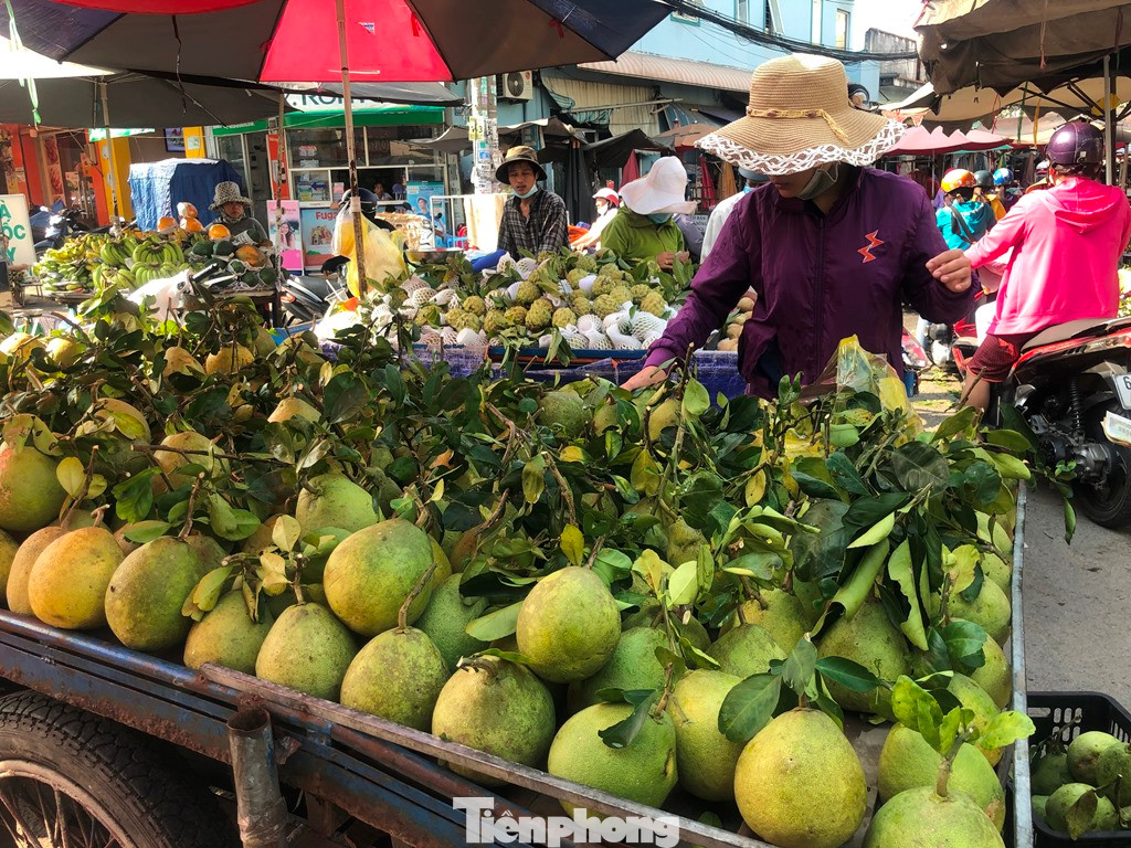 Bưởi trái còn nguyên cành có giá chỉ từ 20.000 đồng/kg. Bưởi trái còn nguyên cành có giá chỉ từ 20.000 đồng/kg.