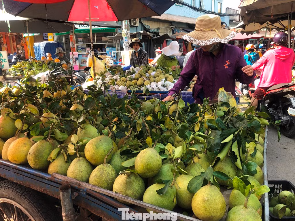 Bưởi trái còn nguyên cành có giá chỉ từ 20.000 đồng/kg.