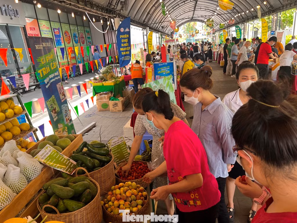 Ngày 28/4, tại TP Thủ Đức, lễ hội “Nông sản đặc sản vùng miền 2023” do Hội Doanh nghiệp Hàng Việt Nam chất lượng cao tổ chức với hơn 1.000 nông sản đến từ 20 tỉnh thành.