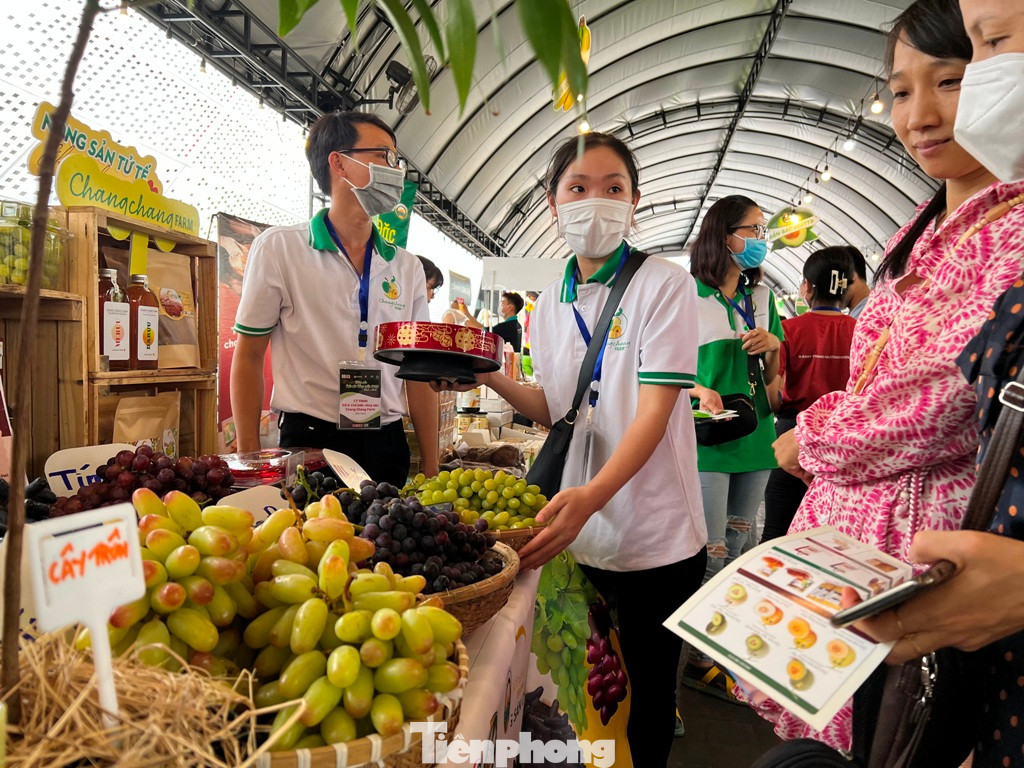 Khách xếp hàng dùng thử đặc sản nho tại phiên chợ.