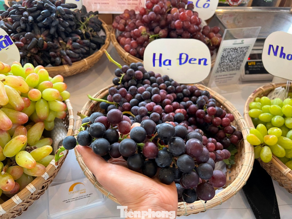 Nho Hạ Đen không hạt, vị ngọt có giá 220.000 đồng nhưng người mua đắt như tôm tươi.