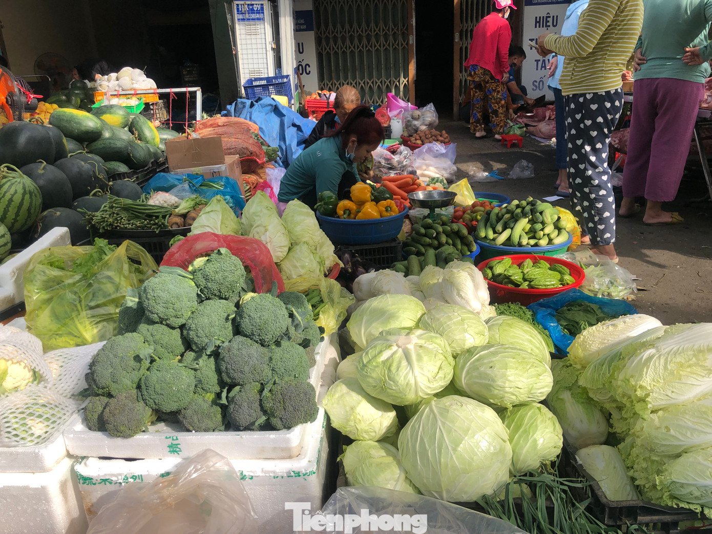 Bông cải, bắp cải, ớt chuông Đà Lạt... vừa xuống hàng, rất tươi ngon.