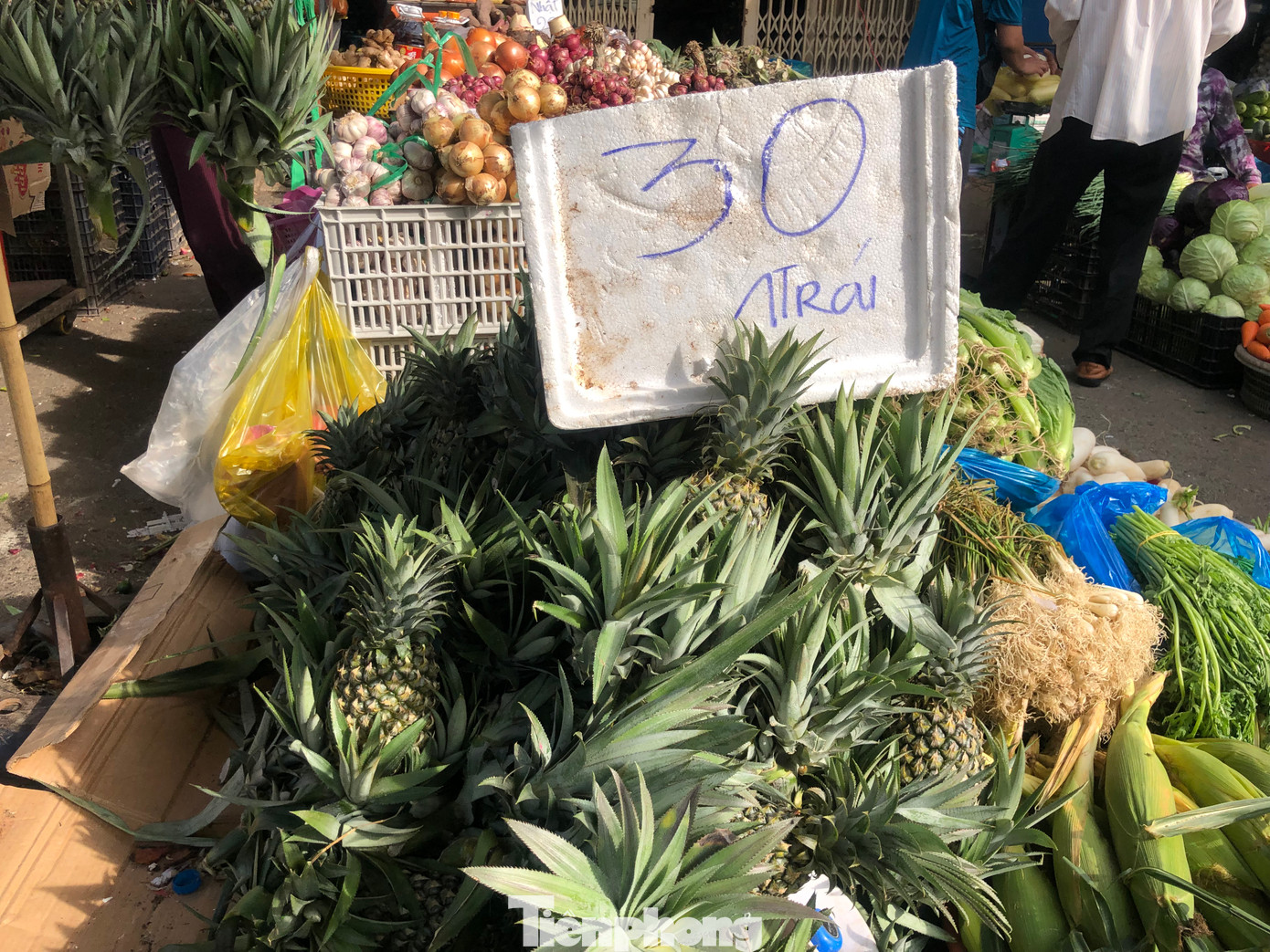 Khóm mang ý nghĩa đủ đầy, thơm tho trong năm mới nên được nhiều người mua chưng Tết.