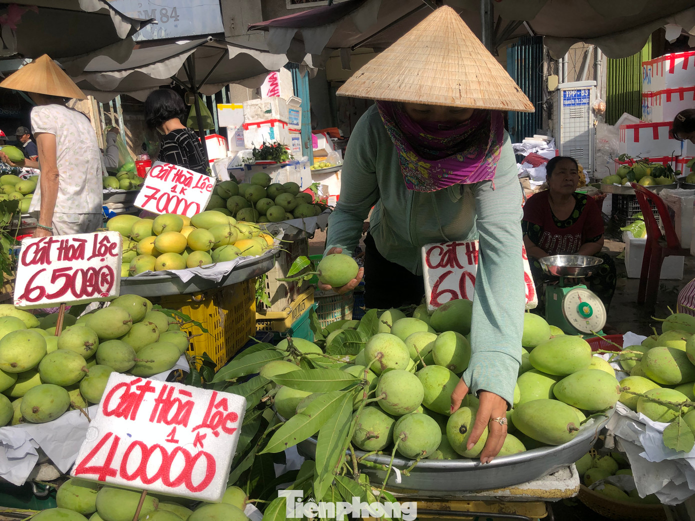 Giá cả tăng từ 5.000-10.000 đồng/kg, như xoài cát Hòa Lộc từ 40.000-70.000 đồng/kg, đu đủ 80.000 đồng/kg, mãng cầu 60.000-75.000 đồng/kg...