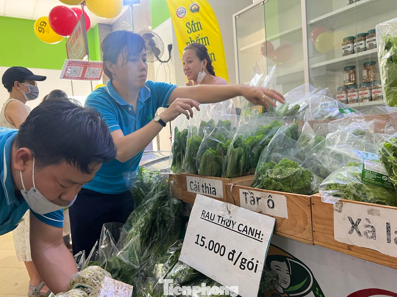 Rau thủy canh tươi ngon có giá chỉ 15.000 đồng/gói liên tục cháy hàng. Rau thủy canh tươi ngon có giá chỉ 15.000 đồng/gói liên tục cháy hàng.