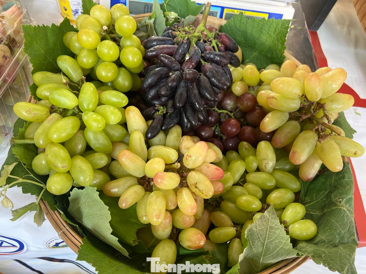 Các loại nho ngón tay, nho đen... tươi ngon. Các loại nho ngón tay, nho đen... tươi ngon.