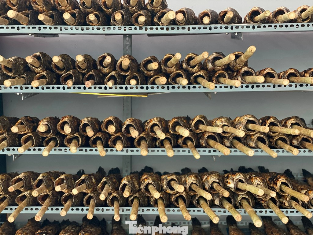 Những con cá đã được nướng sơ chất đầy trên kệ.