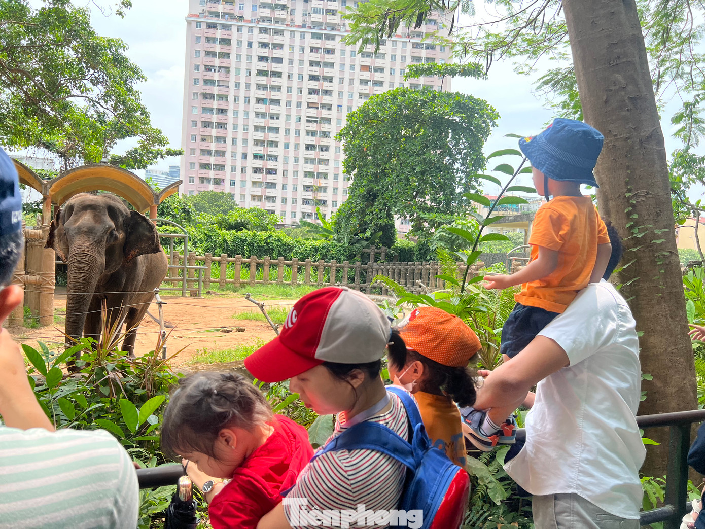 "Lần này vào TPHCM thăm người quen đúng dịp lễ nên tôi đưa các con đi Thảo Cầm Viên xem voi, hươu cao cổ. Các con rất thích và hào hứng, hỏi nhiều về các loài động vật đang nuôi dưỡng nơi đây. Các bé còn được tự tay cho thú ăn nên rất vui" - chị Minh Trang (quê Tiền Giang) cho biết.