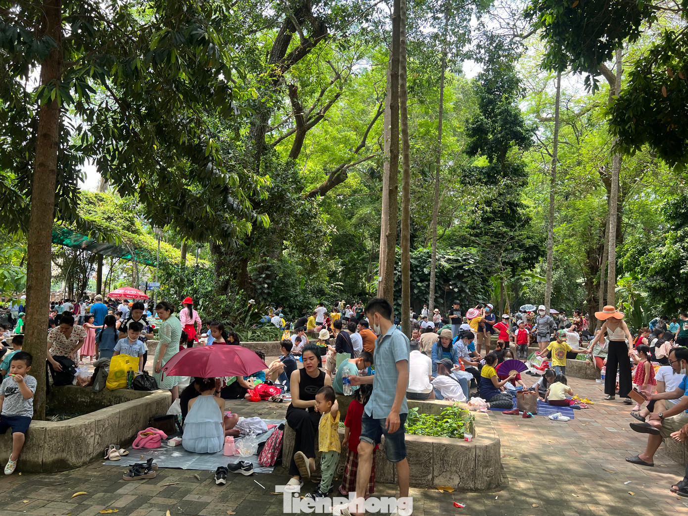 Tham quan Thảo Cầm Viên là một trong những hoạt động trải nghiệm yêu thích của người dân TPHCM vào dịp nghỉ lễ, Tết.