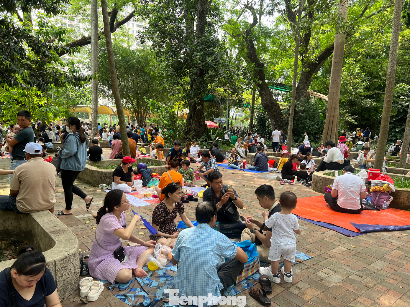 Gần như không còn một chỗ trống tại những nơi có bóng mát ở Thảo Cầm Viên.