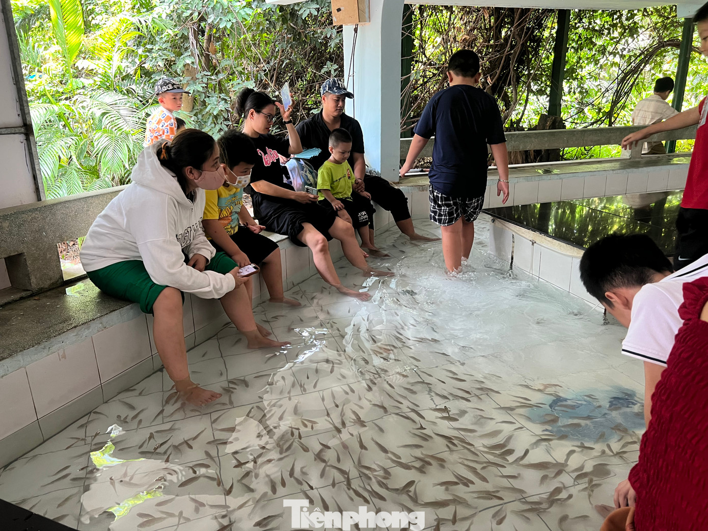 Ngâm chân mát-xa cá là nơi thư giãn của nhiều gia đình.