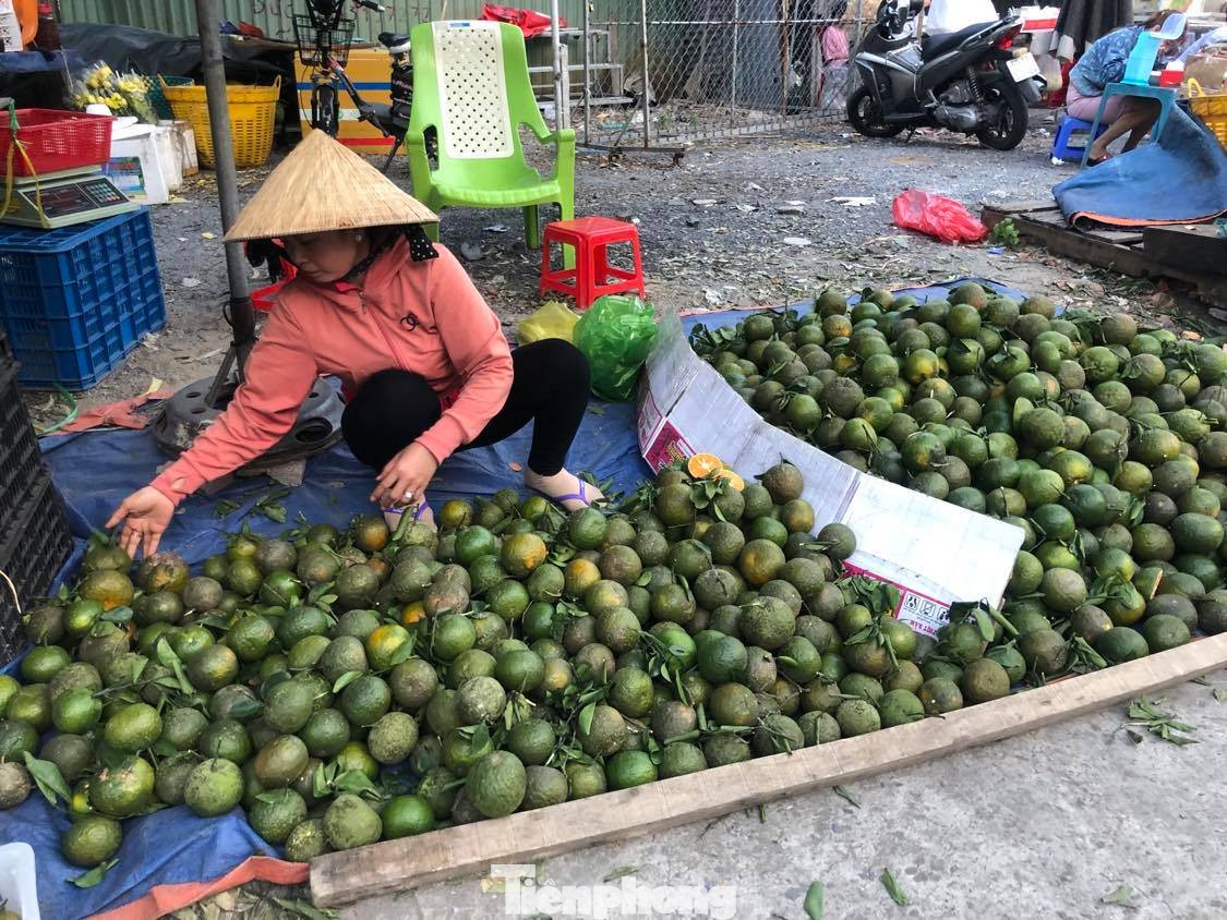 Người bán tiêu thụ mỗi ngày vài trăm ký cam hỗ trợ nông dân.