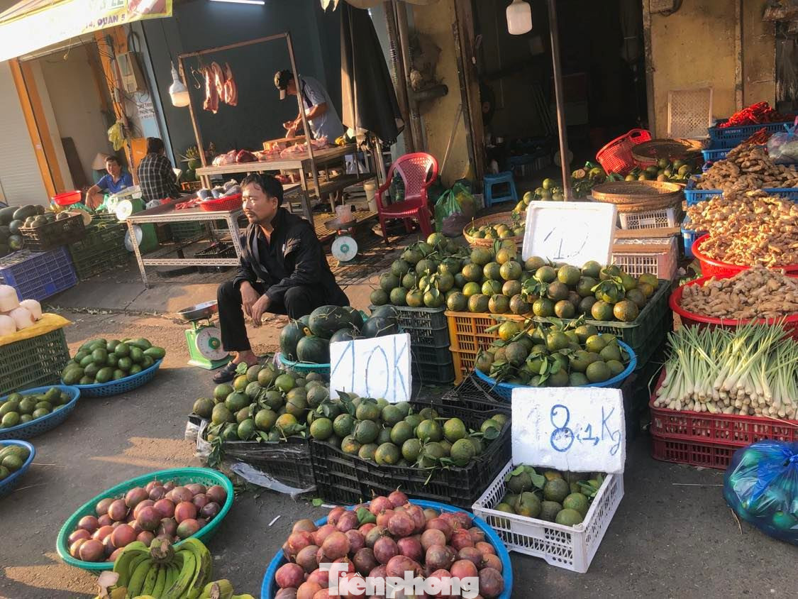 Các chợ ở TPHCM ngập tràn cam chỉ có giá từ 8.000-10.000 đồng/kg.