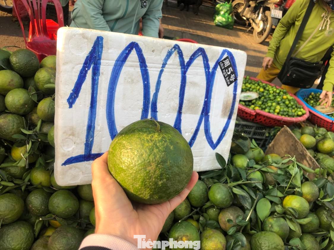 Quả cam mọng nước, to nằm tràn trong lòng bàn tay.