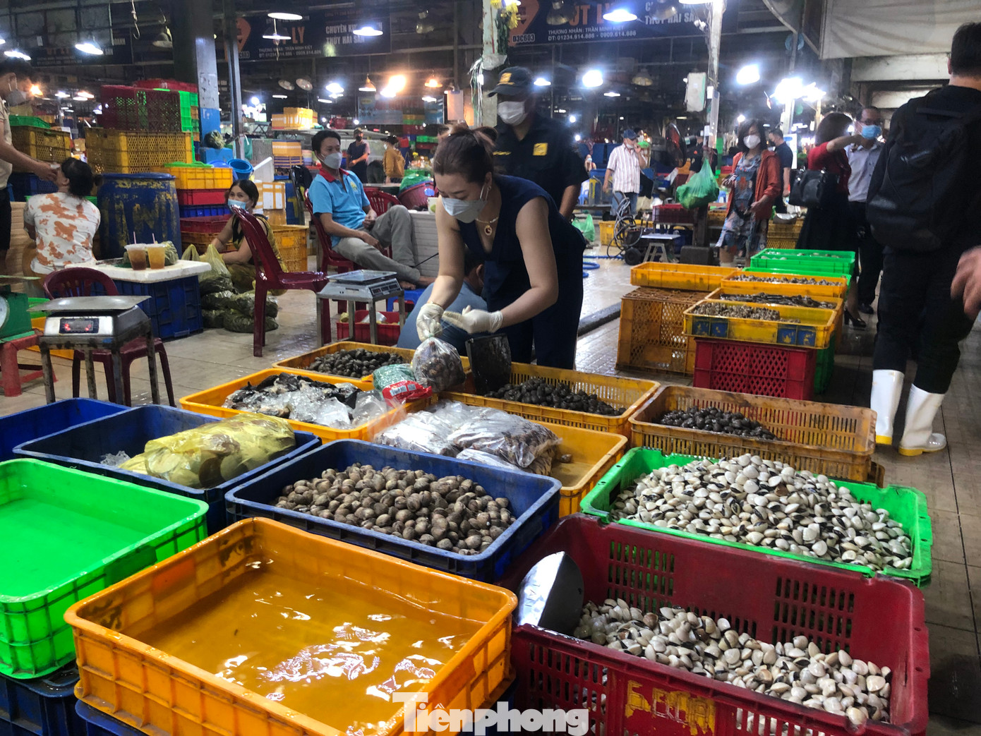 “Dịp Tết Dương lịch 2024, người dân được nghỉ 3 ngày nên có nhiều người về quê. Năm nay kinh tế khó khăn, người dân mua sắm dè sẻn hơn nên chúng tôi chọn những mặt hàng vừa túi tiền nhưng vẫn đảm bảo chất lượng để phục vụ người tiêu dùng. Hôm nay khách mua đông hơn vài ngày trước vì nhiều người tổ chức tiệc đón giao thừa. Dù sức mua tăng nhưng chúng tôi cam kết giá không tăng” – bà Bình, tiểu thương chợ đầu mối Bình Điền (huyện Bình Chánh) chia sẻ.