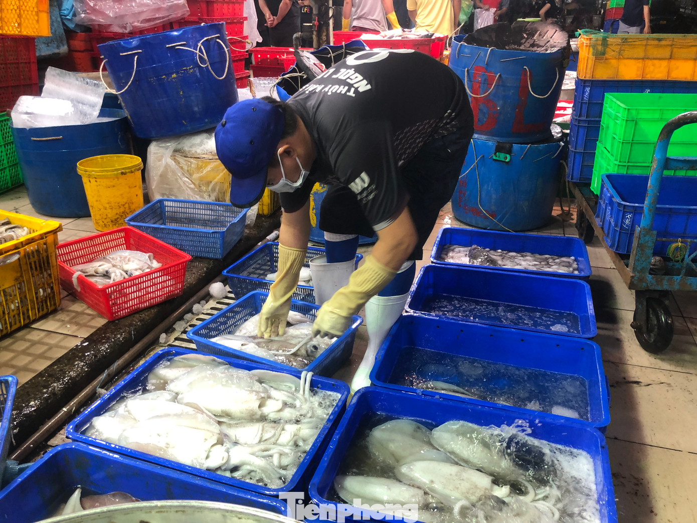 Tiểu thương chợ đầu mối Bình Điền khẩn trương nhập chợ khối lượng lớn thủy hải sản để phục vụ nhu cầu của người dân trong những ngày nghỉ Tết Dương lịch 2024.