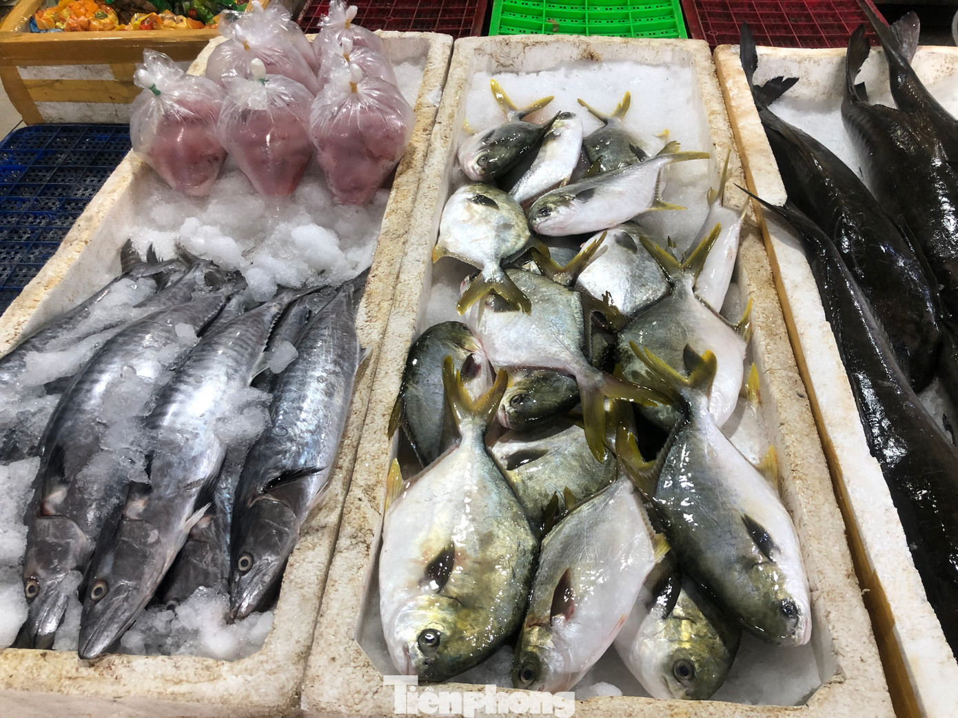 Tôm cá tươi ngon từ các địa phương tập kết về chợ ở TPHCM.