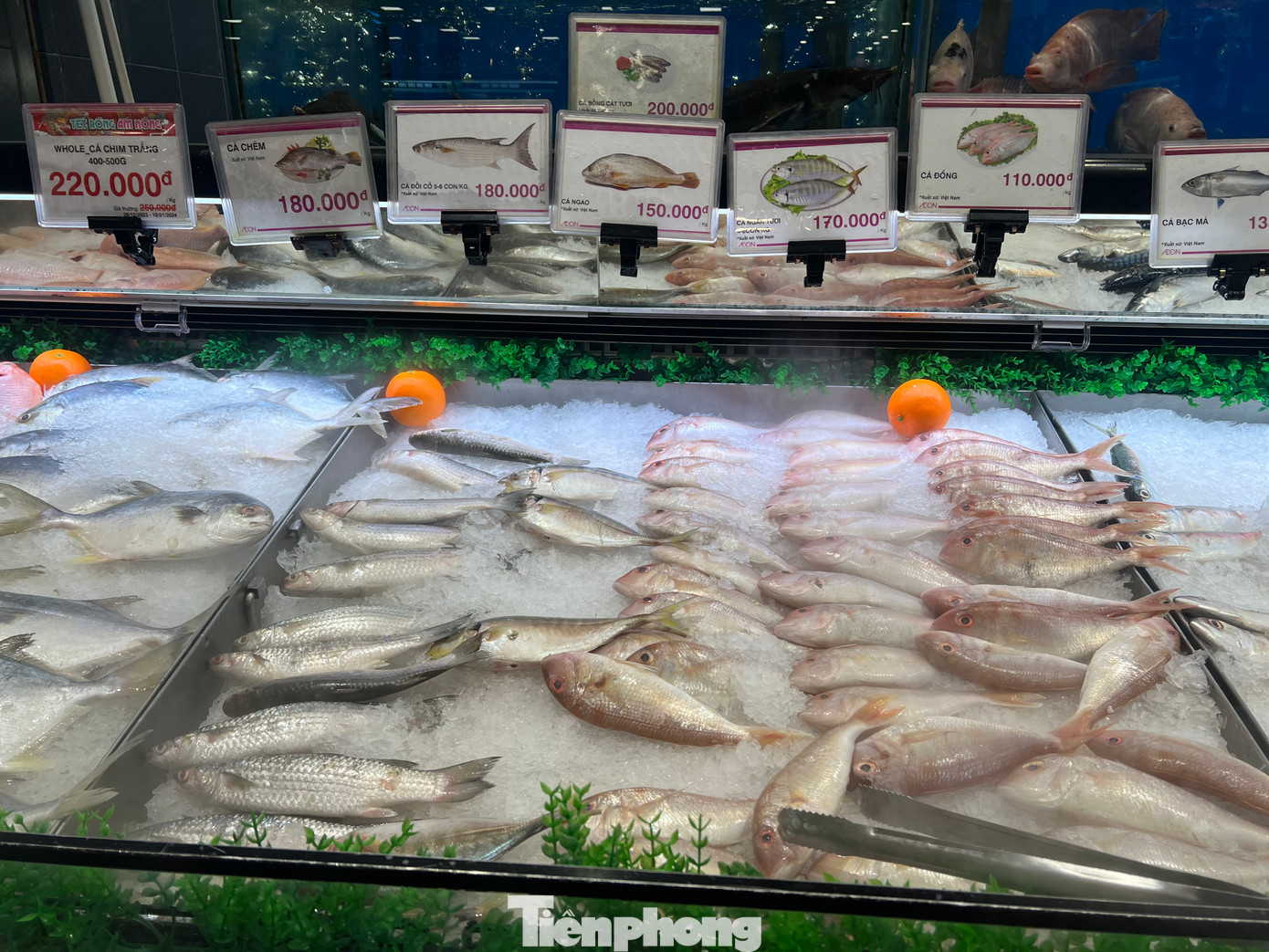 Tại nhiều siêu thị, khu vực bày bán thủy hải sản thu hút khá đông khách mua từ khi mới mở cửa. Nhiều loại thủy hải sản có giá giảm từ 10-20% như mực lá biển (4-6 con/kg có giá 350.000 đồng, nay giảm còn 290.000 đồng/kg; cá chim trắng giá 250.000 đồng/kg, giảm còn 220.000 đồng/kg; ốc hương 550.000 đồng giảm còn 425.000 đồng/kg…