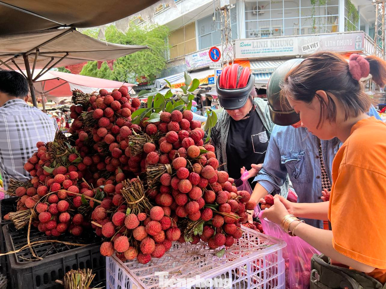 Giá chỉ 30.000 đồng/kg, bà nội trợ chen nhau lựa mua