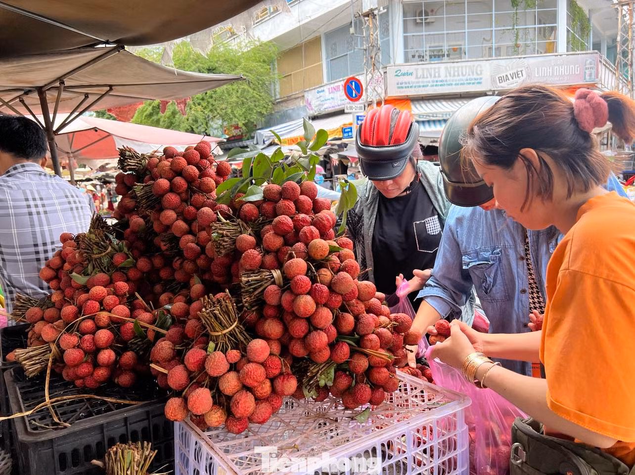Giá chỉ 30.000 đồng/kg, bà nội trợ chen nhau lựa mua Giá chỉ 30.000 đồng/kg, bà nội trợ chen nhau lựa mua