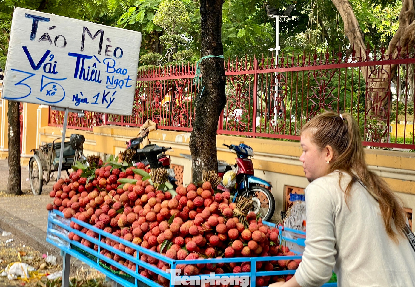 Người bán đưa vải thiều đến từng nhà dân để bán hàng