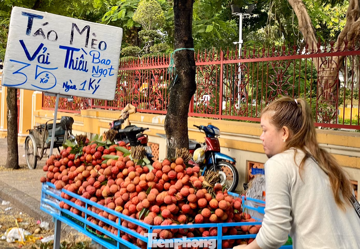 Người bán đưa vải thiều đến từng nhà dân để bán hàng Người bán đưa vải thiều đến từng nhà dân để bán hàng